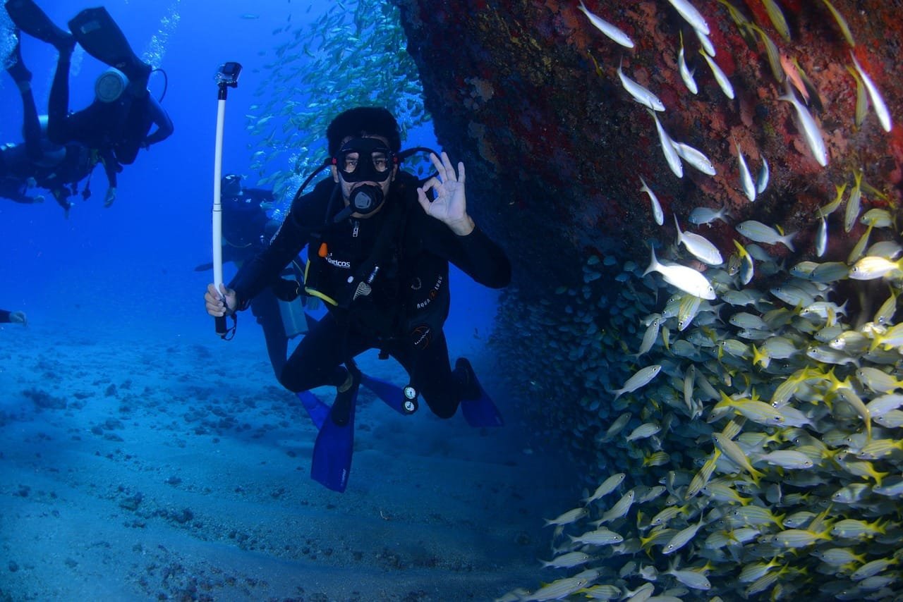 Top Scuba Diving Spots for Beginners in the Pacific